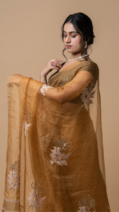 Organza Saree